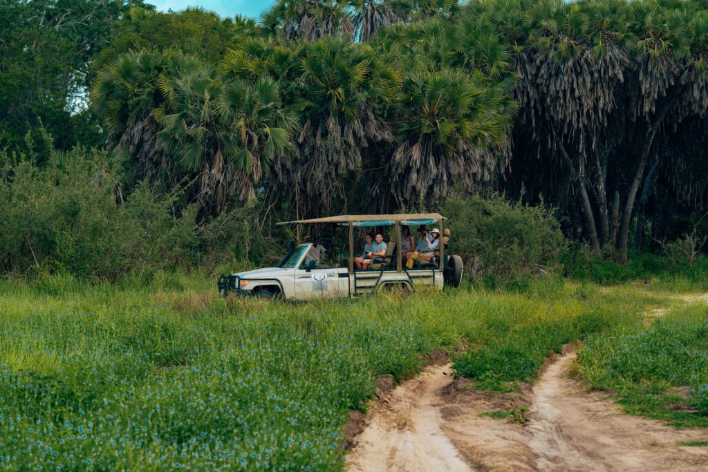 Gorumara Jungle Safari